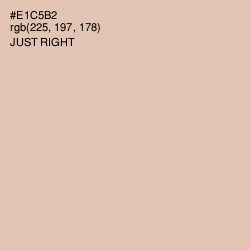 #E1C5B2 - Just Right Color Image